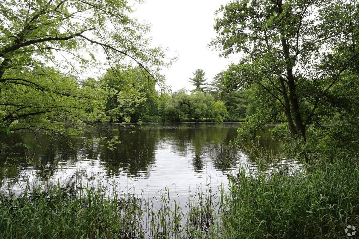 River Views